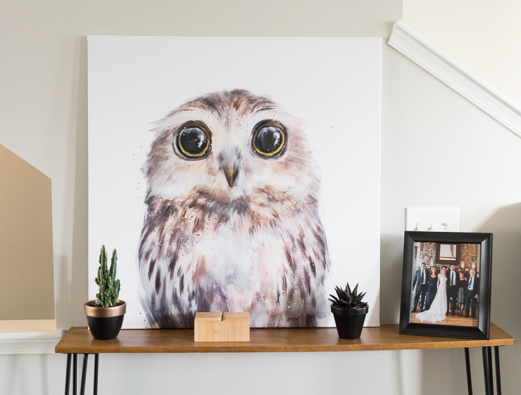 Large DIY Owl Art-10 How to Update Old Canvas Art