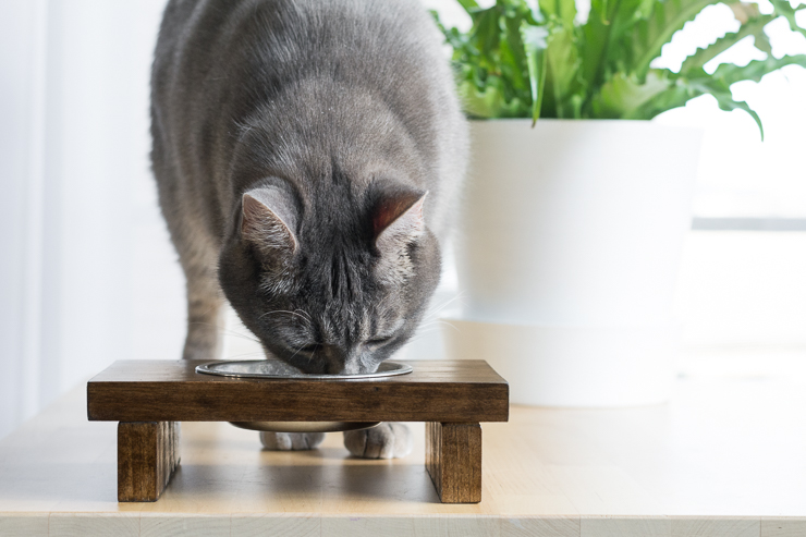 Make a Raised Pet Feeder-9 DIY Wooden Raised Pet Feeder