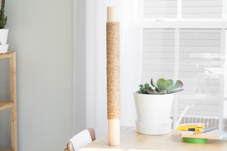 Modern DIY Cat Scratcher Post