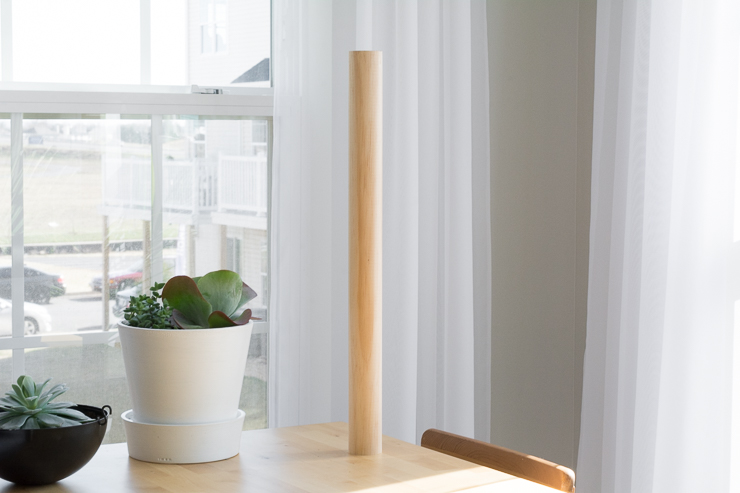 Modern DIY Cat Scratcher Post