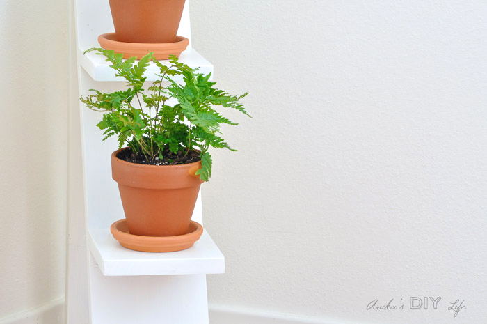 two-tiered-plant-stand-close-up-1.jpg two-tiered-plant-stand-close-up-orig-1.jpg