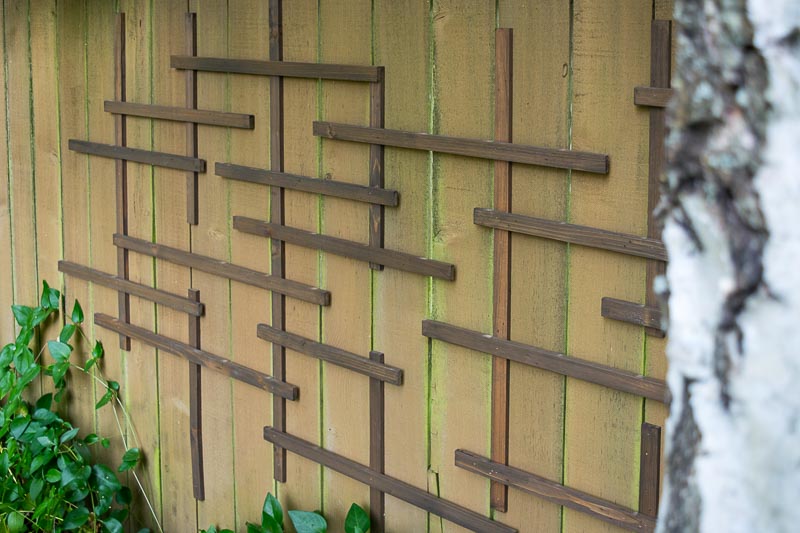 This fence trellis now draws attention to the shady part of the garden.