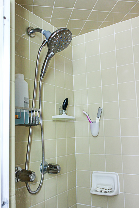 Moen Magnetic Shower Head