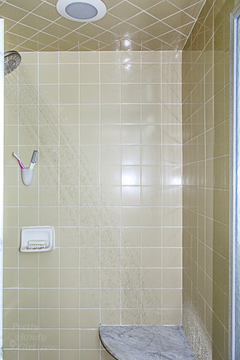 Moen shower head spray
