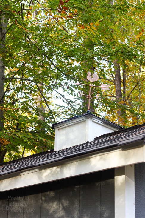 Cute Shed Cupola and Weathervane