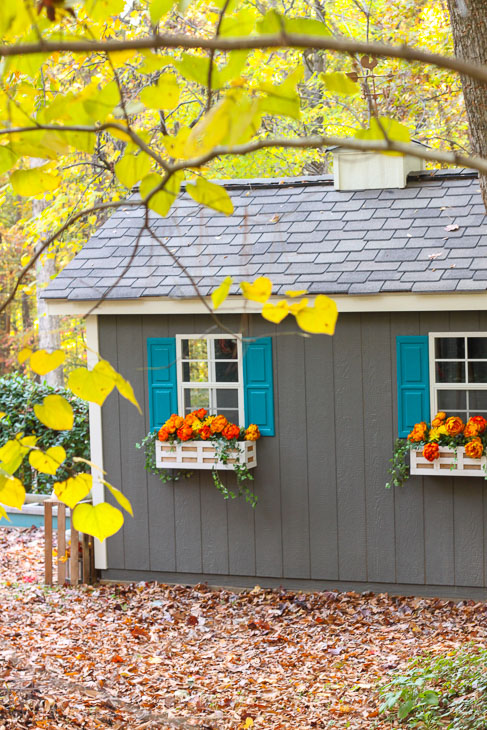 How I Built this Adorable Garden Shed