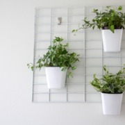 using a grid to hang indoor plants