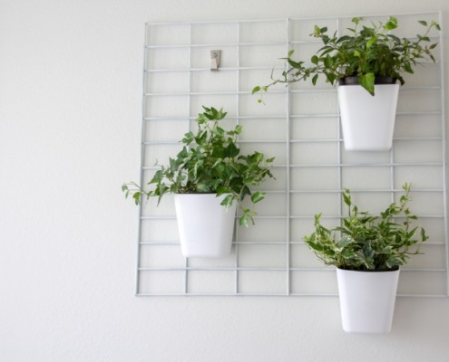 using a grid to hang indoor plants