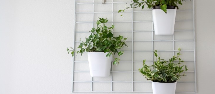 using a grid to hang indoor plants