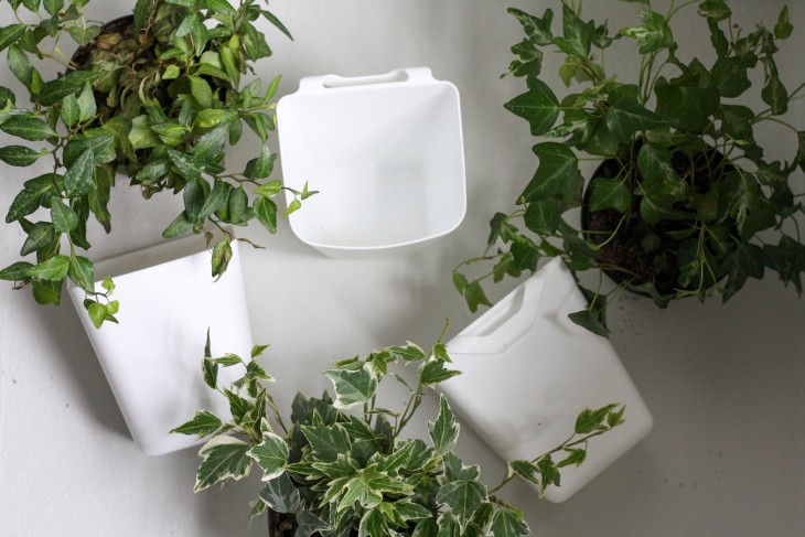 ivy plants and Ikea plastic bins