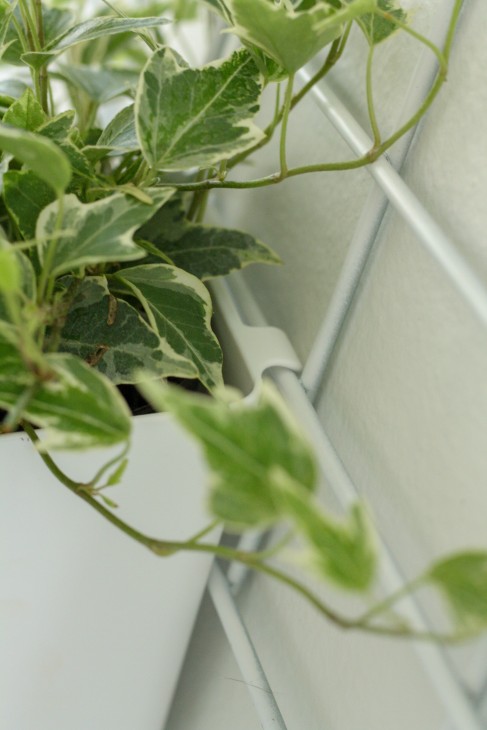 ikea organizer used for living wall