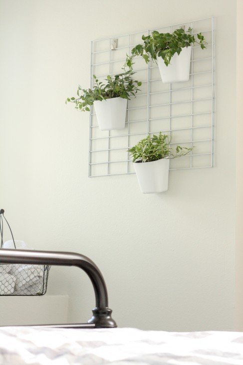 Living wall planter