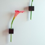 easy DIY test tube vases on the wall