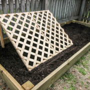 raised garden bed with cucumber trellis
