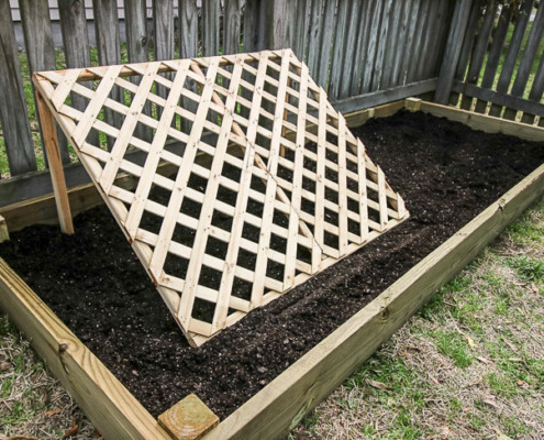 raised garden bed with cucumber trellis
