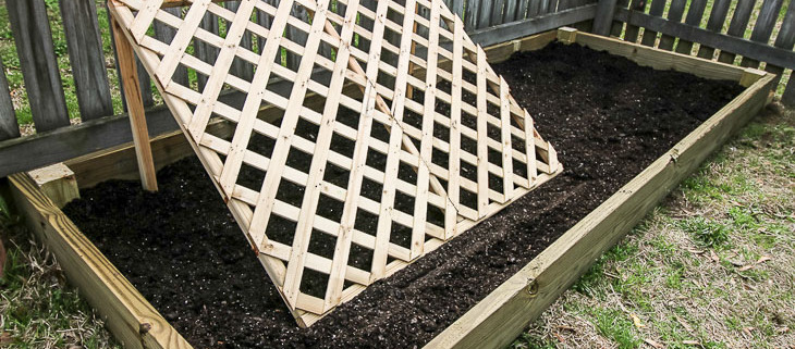 raised garden bed with cucumber trellis
