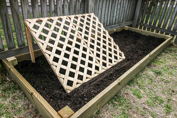 raised garden bed with cucumber trellis