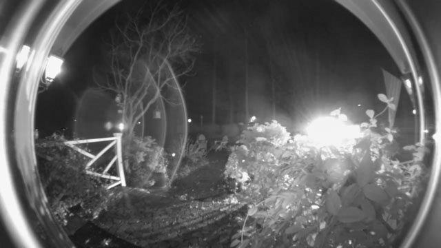 car lights setting off motion detection