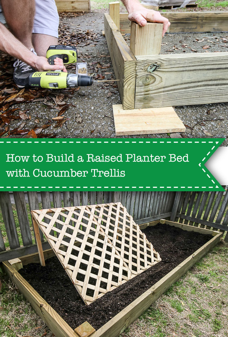 Raised planter bed and cucumber trellis