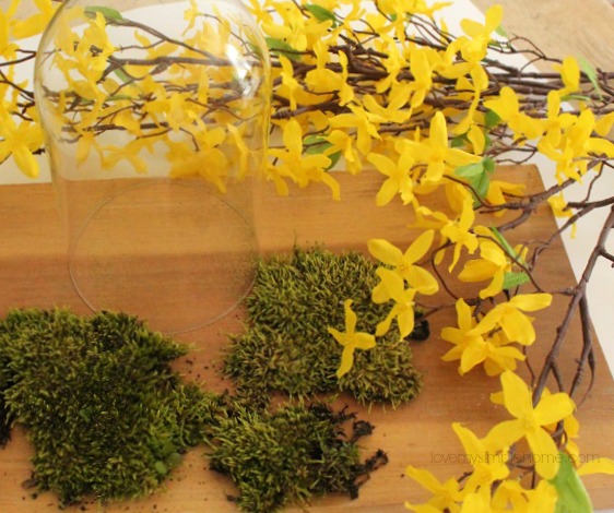 supplies for spring cloche