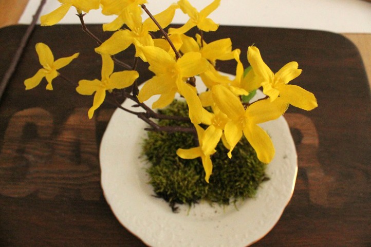 flower stems in moss
