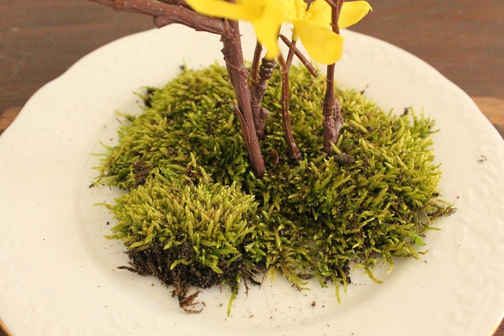 Stems in moss close up