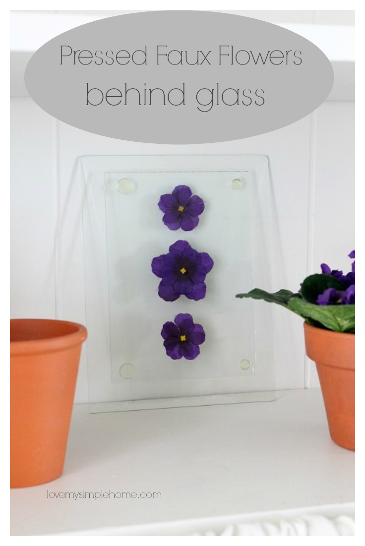 Pressed faux flowers behind glass