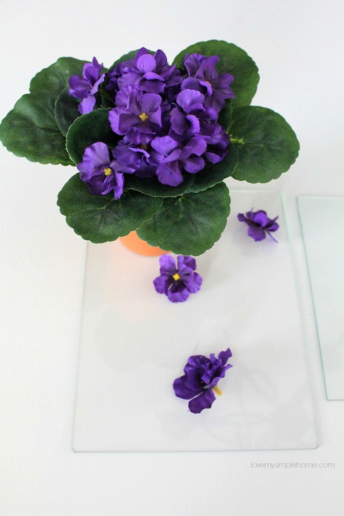 Pressed faux flowers behind glass