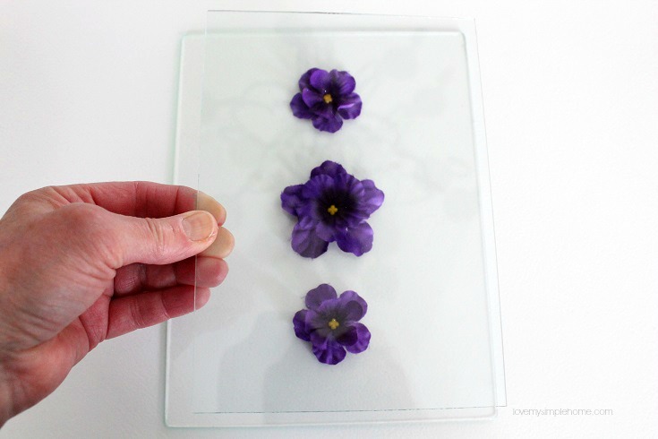 Pressed faux flowers behind glass