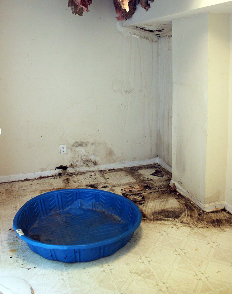 How is Drywall Made and What is Purple Drywall?