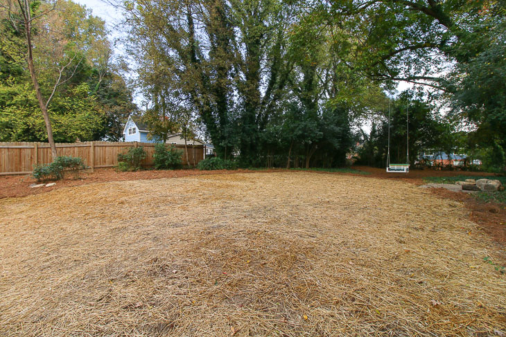 after view of backyard with straw and pine straw