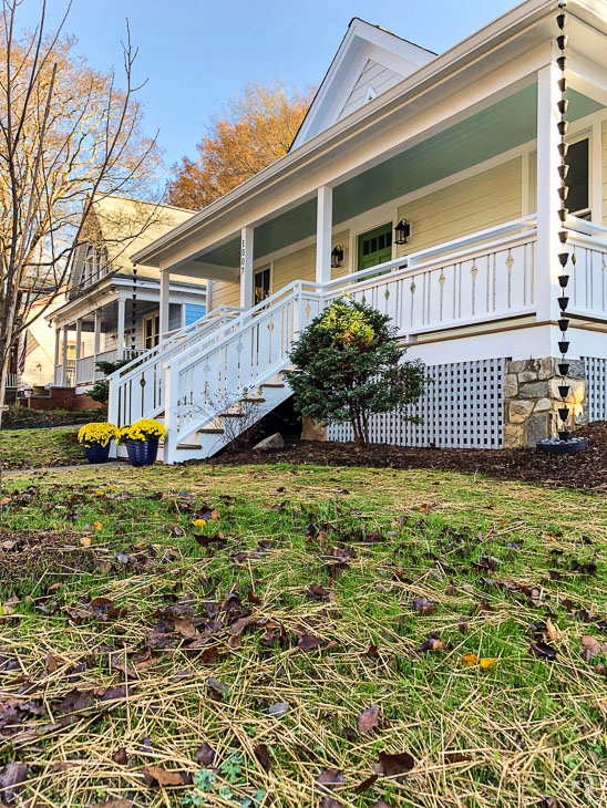 grass growing on front hill at Saving Etta house