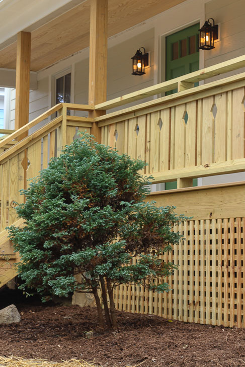 blue spruce in front yard