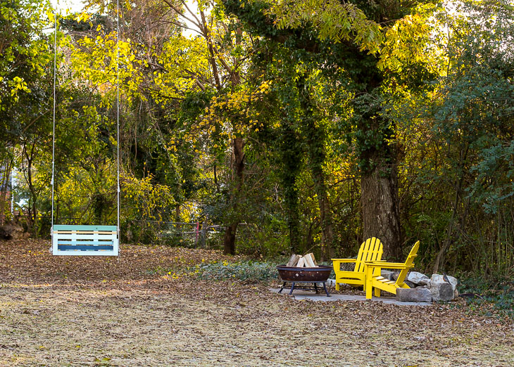 fall colored trees in saving etta backyard