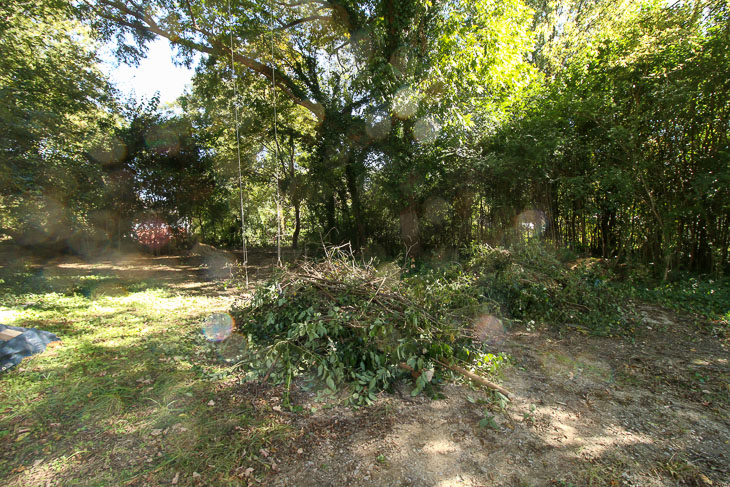 piles of brush for yard waste