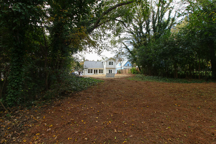 view from back yard at saving etta house