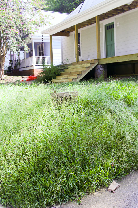 Overgrown Saving Etta front yard