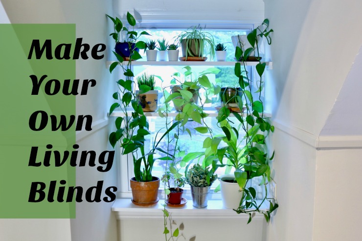 Living blinds