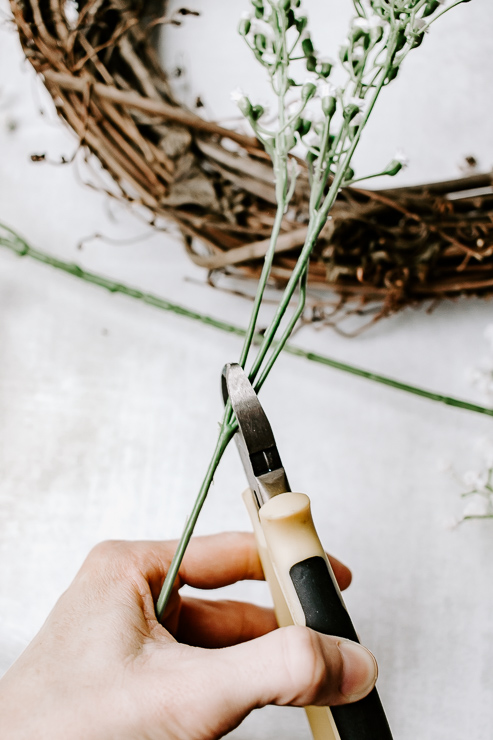 Cut floral stems
