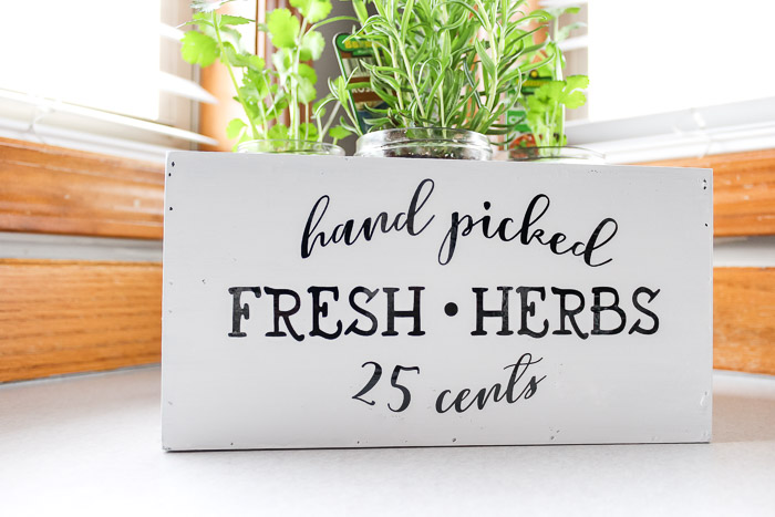 Hand picked Fresh Herbs