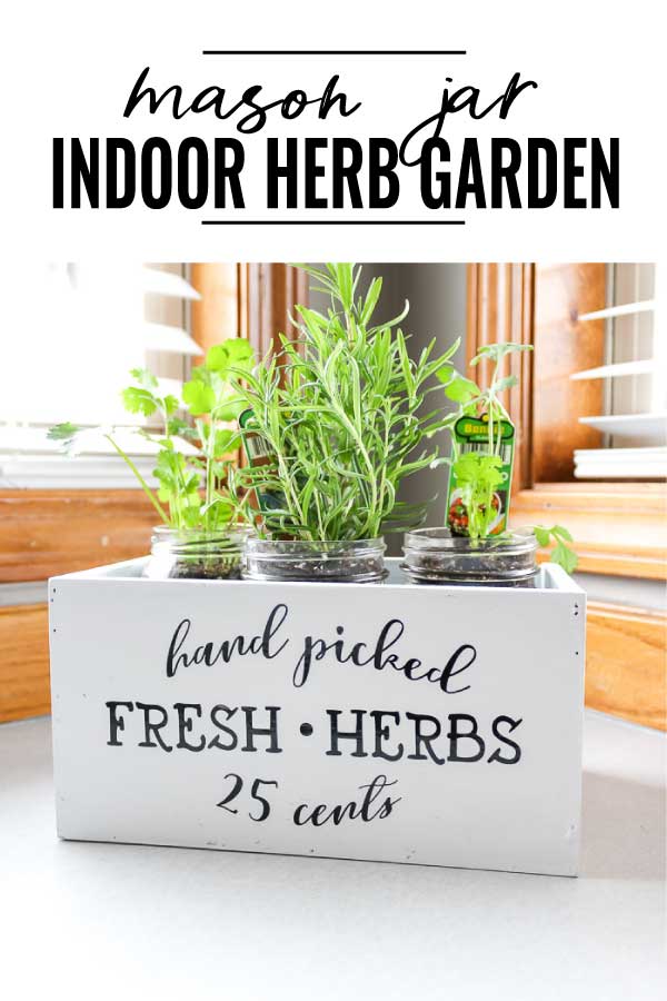Indoor Herb Garden