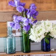wine bottle vases