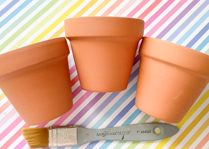 freshly washed terracotta pots ready for paint