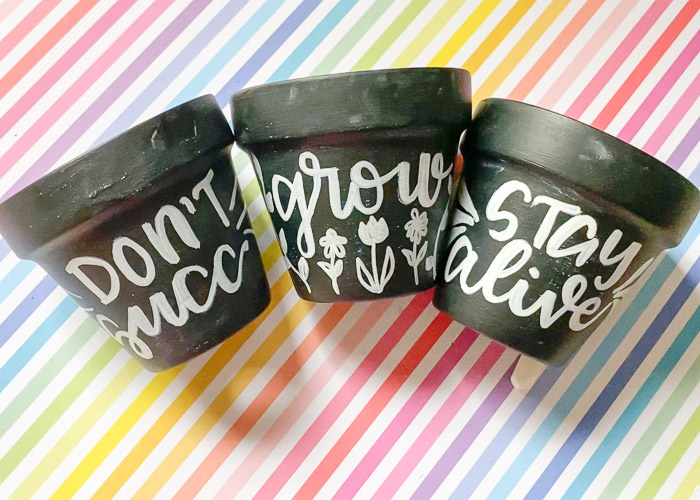 hand lettered pots finished
