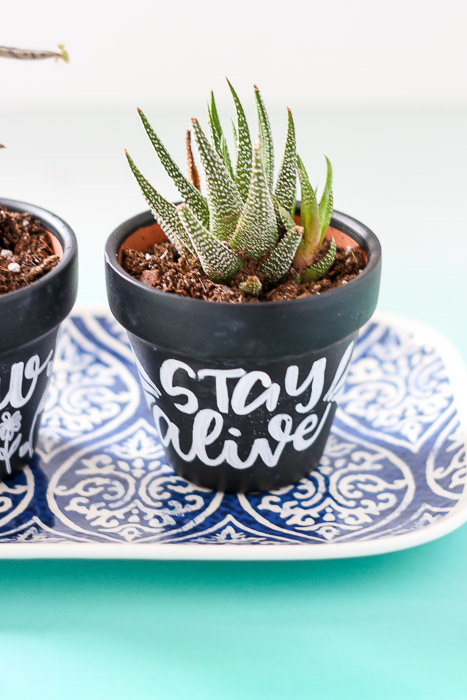 chalkboard planters