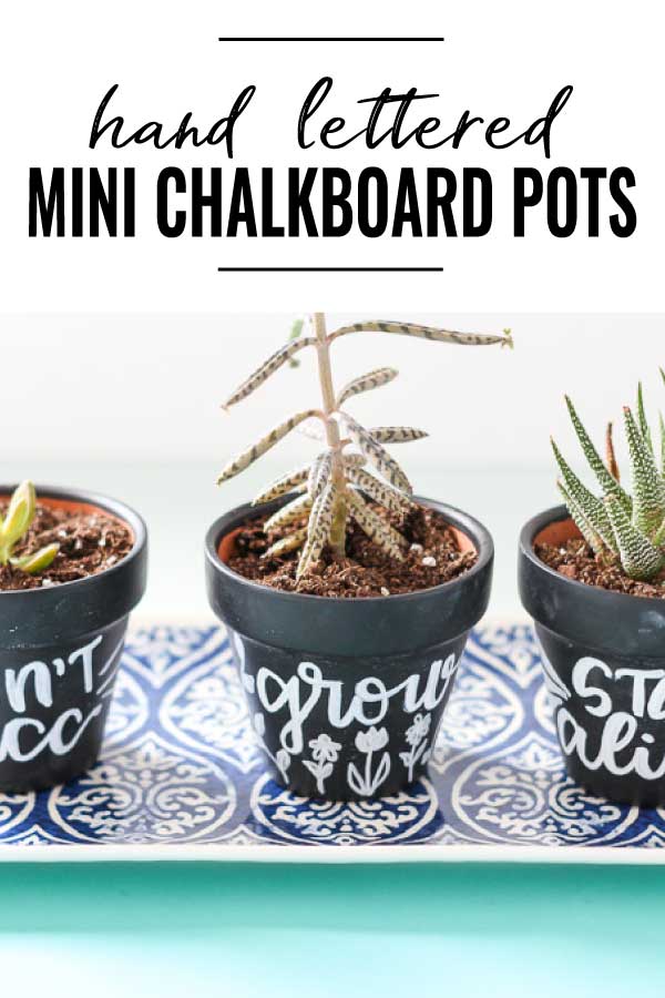 Hand lettered mini chalkboard planters