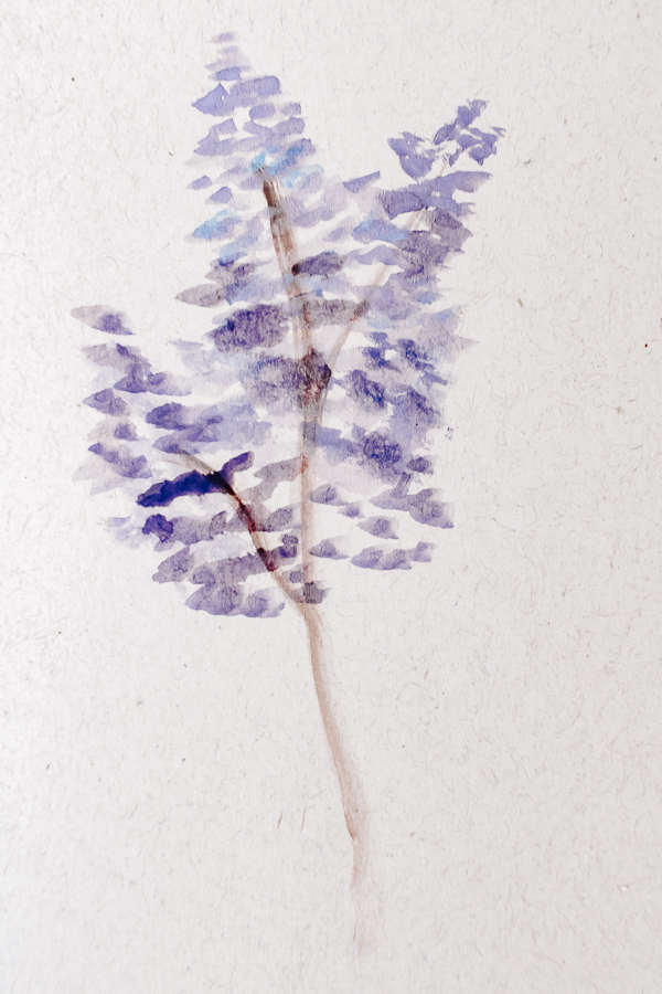create a series of stippled marks to make the lavender