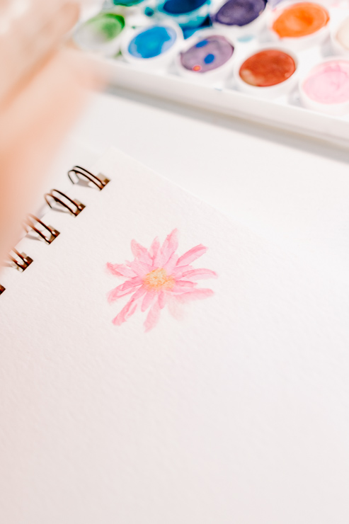 pink watercolor daisy with yellow center