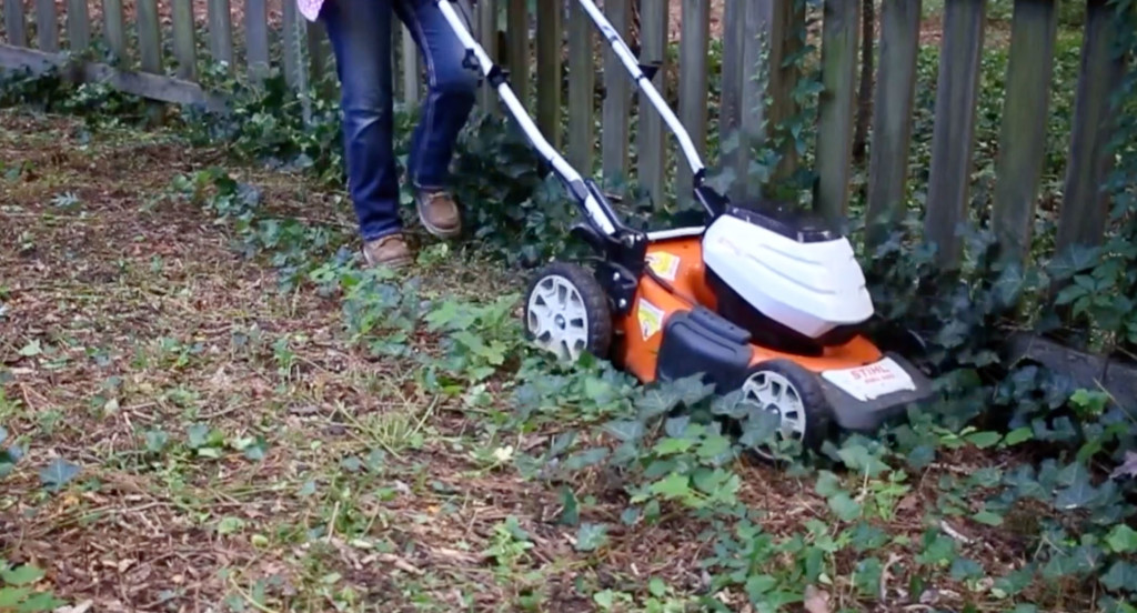 mowing ivy