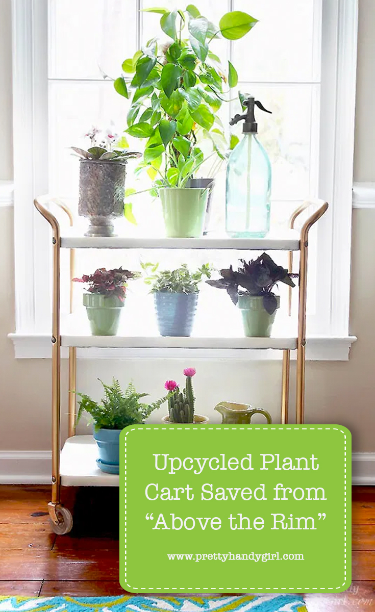 Upcycled Plant Cart Saved from "Above the Rim" | Pretty Handy Girl